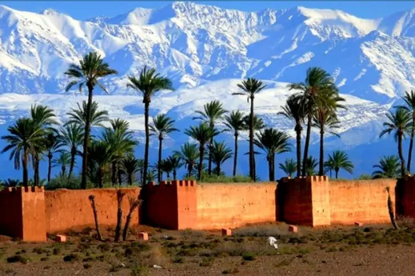 Marrakech Essaouira Shuttle Provide For You The Best Shuttle Service With Only 15€ Per Person